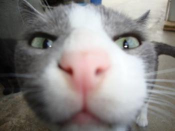 5715 Bild von Aaron 5715