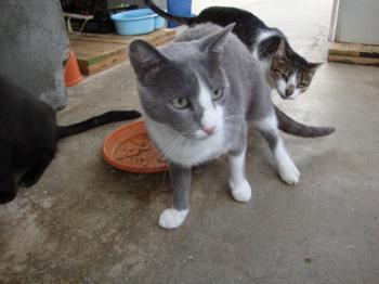 5715 Bild von Aaron 5715