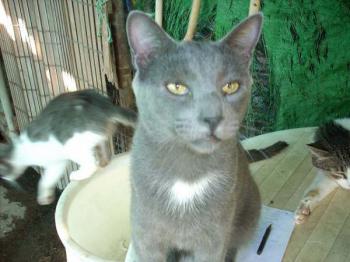 Panchito Bild von Panchito