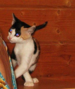 Ohne Namen 4346 Bild von Trixi
