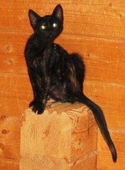 Ohne Namen 4348 Bild von Penny