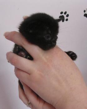 Ohne Namen 4352 Bild von Lucia