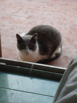 Vivi Bild von Vivi