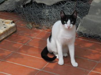 Agusti Bild von Agusti