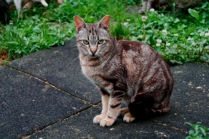 Barry Bild von Barry