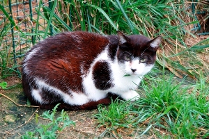 Bild von Beto