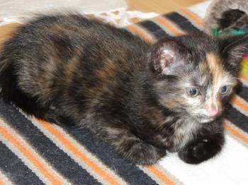 Betty Bild von Betty