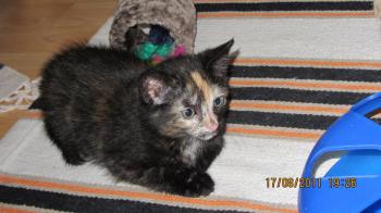 Betty Bild von Betty
