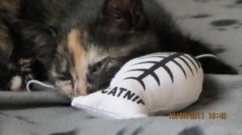Betty Bild von Betty