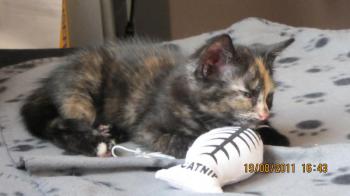 Betty Bild von Betty