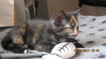 Betty Bild von Betty