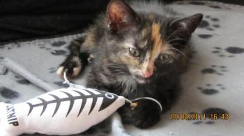 Betty Bild von Betty