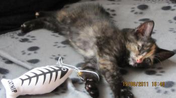 Betty Bild von Betty