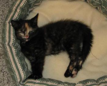 Betty Bild von Betty