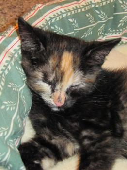 Betty Bild von Betty