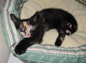 Betty Bild von Betty