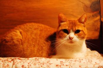 Judith Bild von Judith