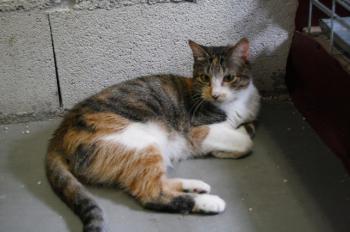 Arizona Baby Bild von Arizona Baby