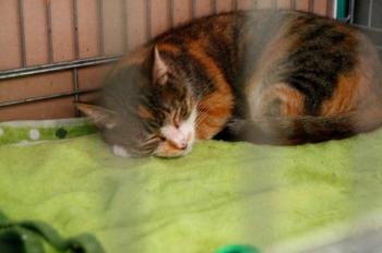 Arizona Baby Bild von Arizona Baby