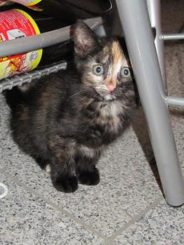 Betty Bild von Betty