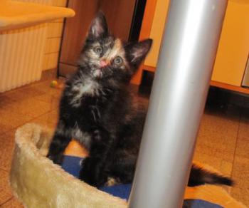 Betty Bild von Betty