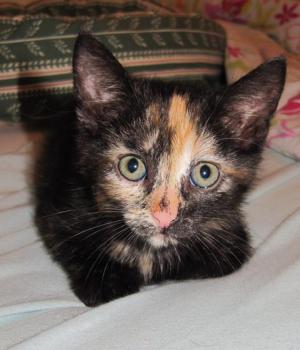 Betty Bild von Betty