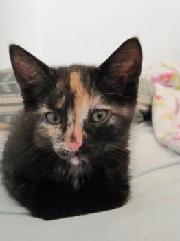 Betty Bild von Betty