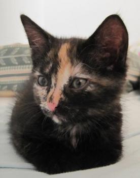 Betty Bild von Betty