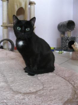 Blacky Bild von Blacky