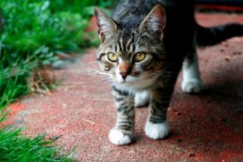 Manolo Bild von Manolo