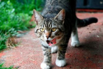 Manolo Bild von Manolo