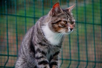 Manolo Bild von Manolo