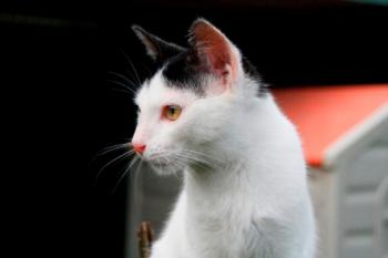 Fabio Bild von Fabio
