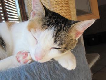 Polly Bild von Polly