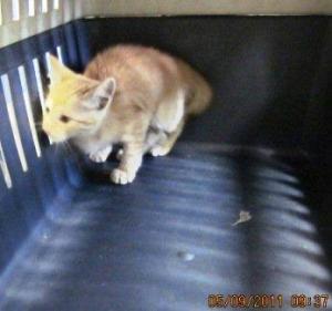 Eureka Bild von Eureka