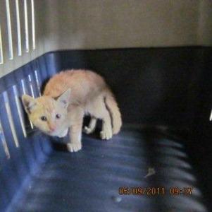 Eureka Bild von Eureka