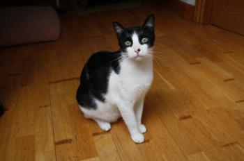 Bild von Bruce