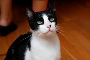 Bild von Bruce