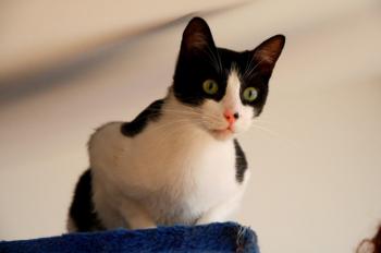 Bild von Bruce