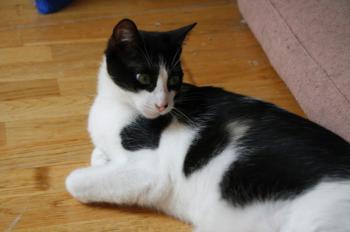 Bild von Bruce