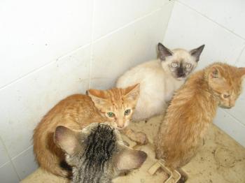 Sandy und Babys Bild von Sandy