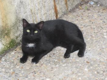 Sally Bild von Sally