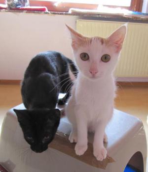Franny Bild von Franny