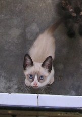 Princesa Bild von Princesa