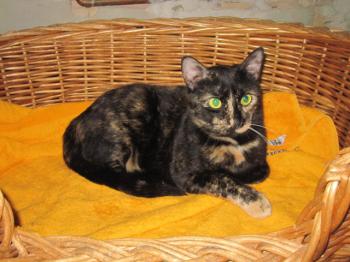 Bild von Greta
