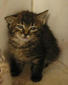 Simon Bild von Simon