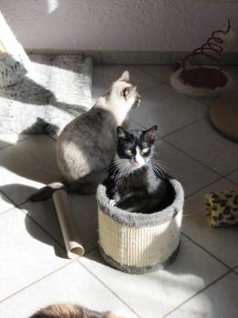 Jerry Bild von Jerry