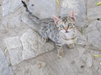 Ohne Namen 4203 Bild von Diego