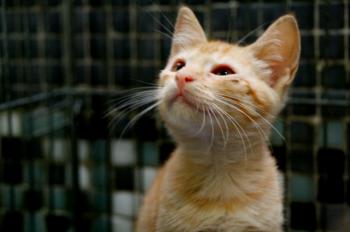 Eureka Bild von Eureka