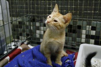 Eureka Bild von Eureka